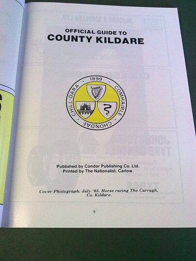 Official Guide to County Kildare Ireland Irish Old guide