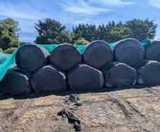 Silage Bales
