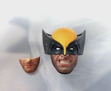 S.King Wolverine 1/6th scale head sculpt