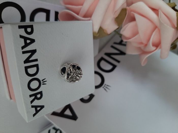new pandora disney Belle and friends