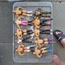 wwe superstars bundles, Image 3