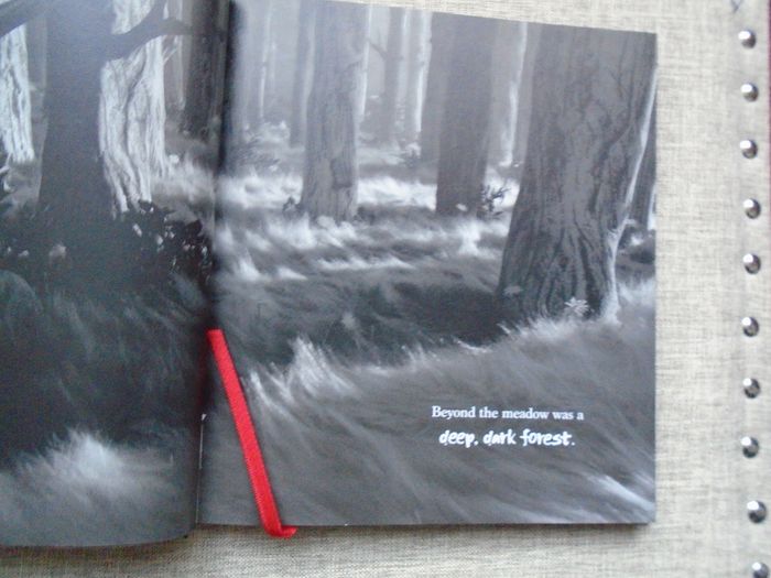Hardback book, Peter and the Wolf, Gavin Friday.Book