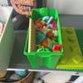 Duplo Image 2