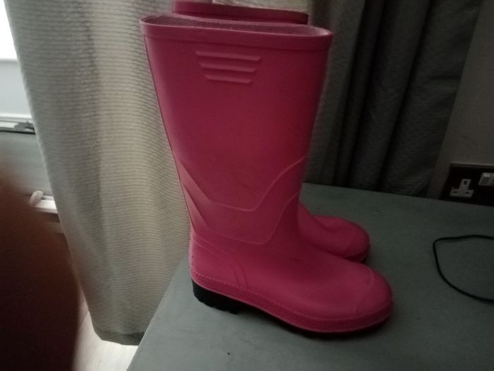 Wellington boot