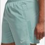 Mens Nike Running Shorts Image 3