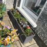 Grey JC & Co Rectangular Trough Flower Pots- 2 available Image 5