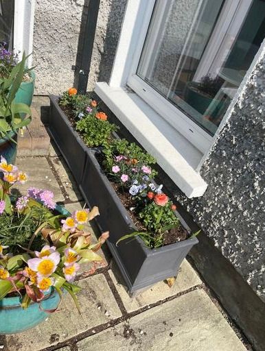 Grey JC & Co Rectangular Trough Flower Pots- 2 available