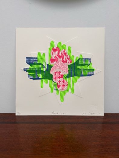 Leah Hewson / Graphic Studio Dublin, Fine Art Embossed Copperplate Etching Screen Print