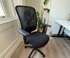 Andy Task Chair (black Frame)