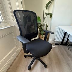 Andy Task Chair (black Frame)