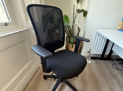 Andy Task Chair (black Frame)