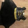 Various Halloween Costumes Image 7
