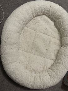 cat bed