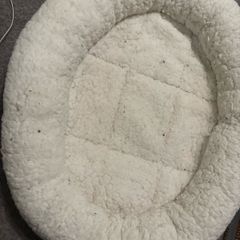 cat bed