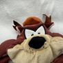 Boots Taz Tasmanian Devil Plush WB Looney Tunes Used Please Look at the pictures Image 2