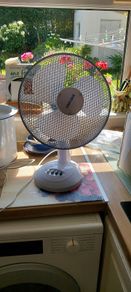Fan Electric