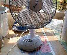 Fan Electric