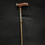 walking sticks Image 2