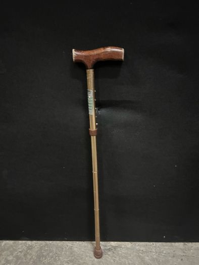 walking sticks