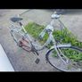 Goldrush meteor bike Image 2