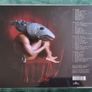 Kate Bush - Remastered In Vinyl I, Ii, Iii, & Iv Boxsets Image 8