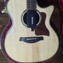 taylor 814 ce builders addition Image 2