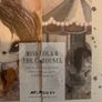 Mrs. Mighetto - LOLA and LOST CAROUSEL 2-pack 18cm x 24cm Nursery, Girls Boys Room Image 5