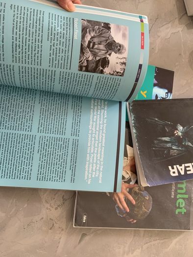 Leaving cert books for English, examination.