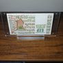 Irish pound note punt with display Image 2