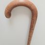 Walking stick Image 3