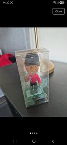 Tiger  woods bobble head world golf championship  figure