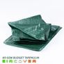 Budget Tarpaulin 10m x 10m (33' -33') 80 gsm green Image 3