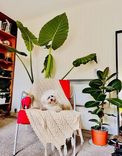 Armchair