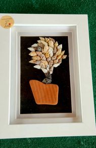 Seashell Wall Art