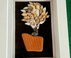 Seashell Wall Art