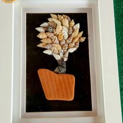 Seashell Wall Art