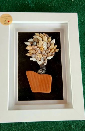 Seashell Wall Art
