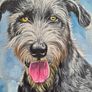 Irish Wolfhound - oil painting Image 3