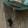 Vintage pixie/ Kelly paraffin lamp Image 8