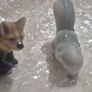Little Animals. China Image 9
