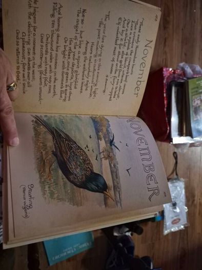 Vintage The Country Diary of an Edwardian Lady