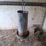 poultry equipment Image 3