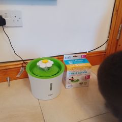 cat water fountain