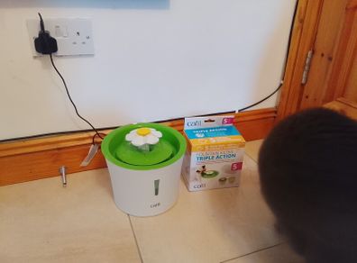 cat water fountain