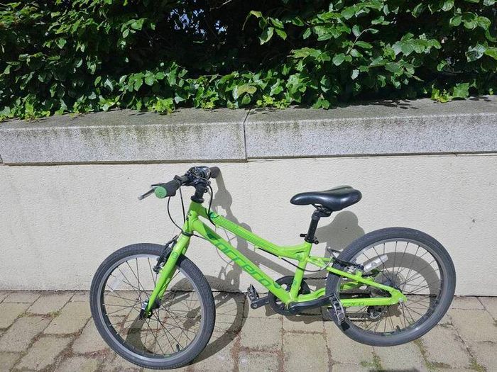carrear 20 inch kids bike