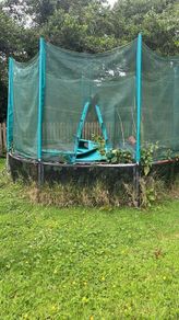 Large Tranpoline