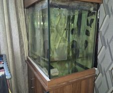 200L square aquarium for sale very tick glass