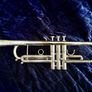 trumpet Getzen eterna Image 7