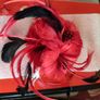 Fascinator Image 2