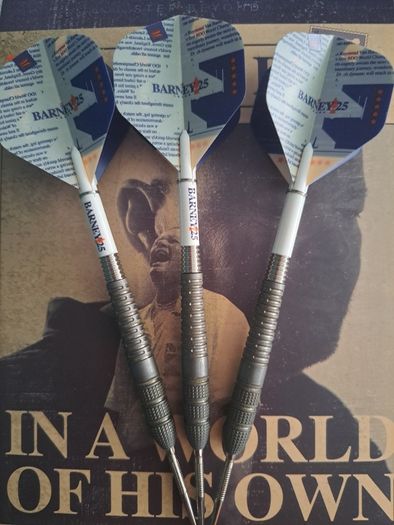 Barney 25 darts